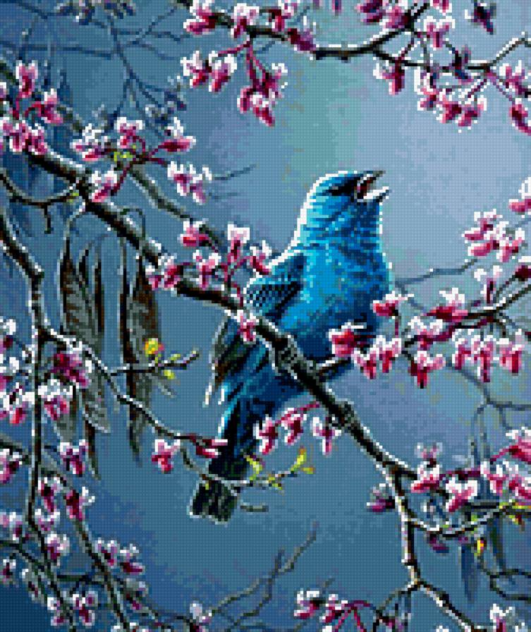 Синяя птица - пернатые, красота - предпросмотр