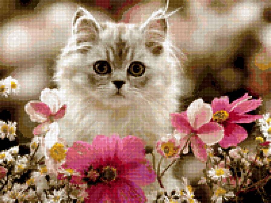 пушистое чудо - природа. животные. кошка. цветы - предпросмотр