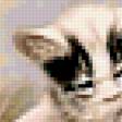 Предпросмотр схемы вышивки «кот5» (№335622)