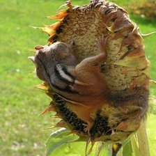 Схема вышивки «все моё»