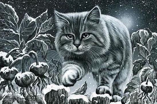 №335700 - оригинал