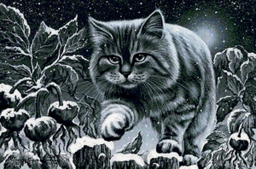 №335700 - предпросмотр