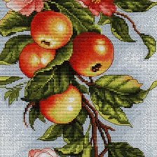 Схема вышивки «ветка с яблоками»