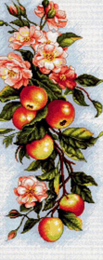 ветка с яблоками - ветка, яблоки - предпросмотр