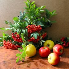 Схема вышивки «натюрморт»