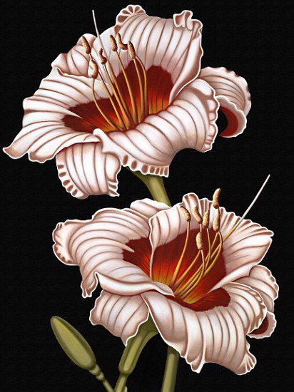 №336142 - оригинал