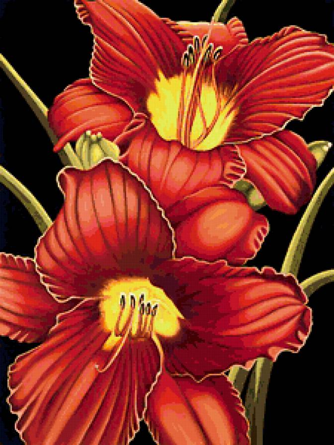 №336147 - предпросмотр