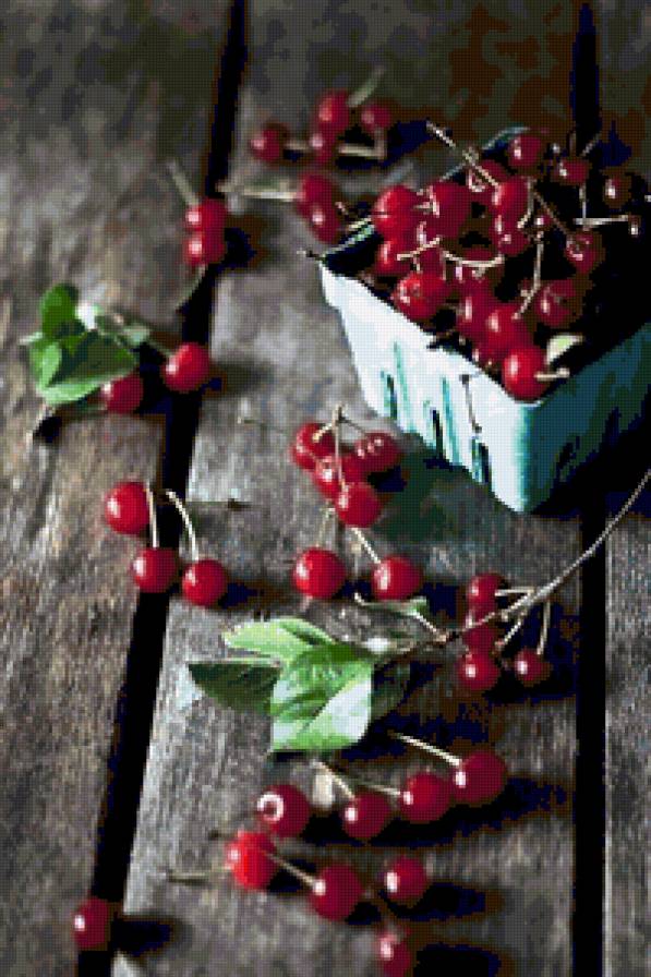 вишни - предпросмотр
