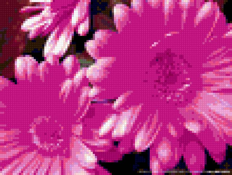 цветы - цветы - предпросмотр