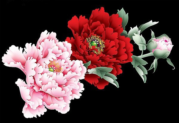 №336265 - оригинал