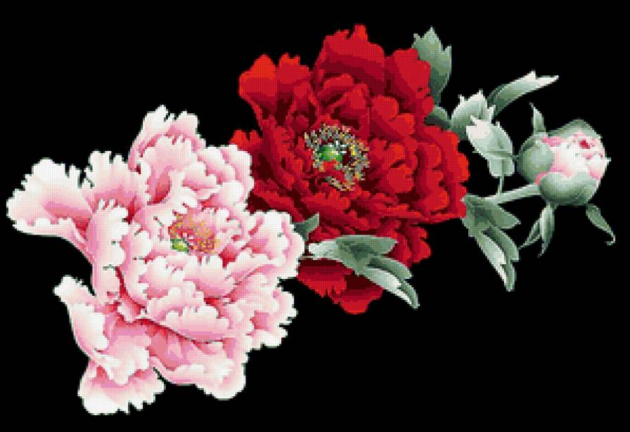 №336265 - предпросмотр