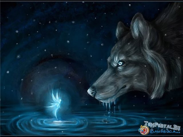 №336288 - фэнтези, эльф, волк - оригинал