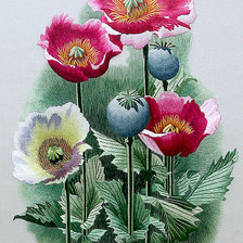 Схема вышивки «№336453»