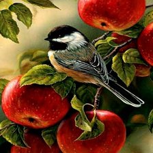 птичка на яблоне