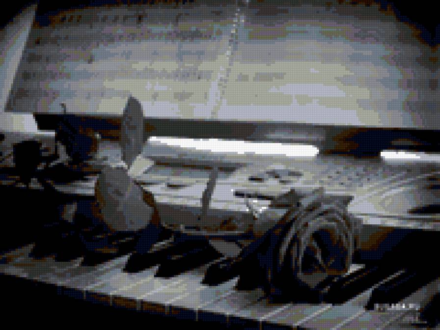 роза и рояль - предпросмотр