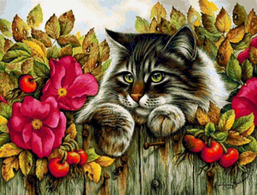 кошка - кошки - предпросмотр