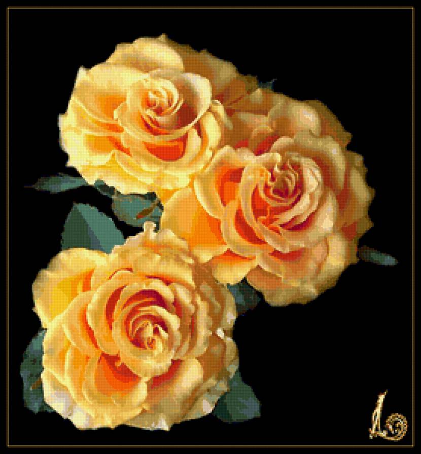 прекрасная роза - картина - предпросмотр