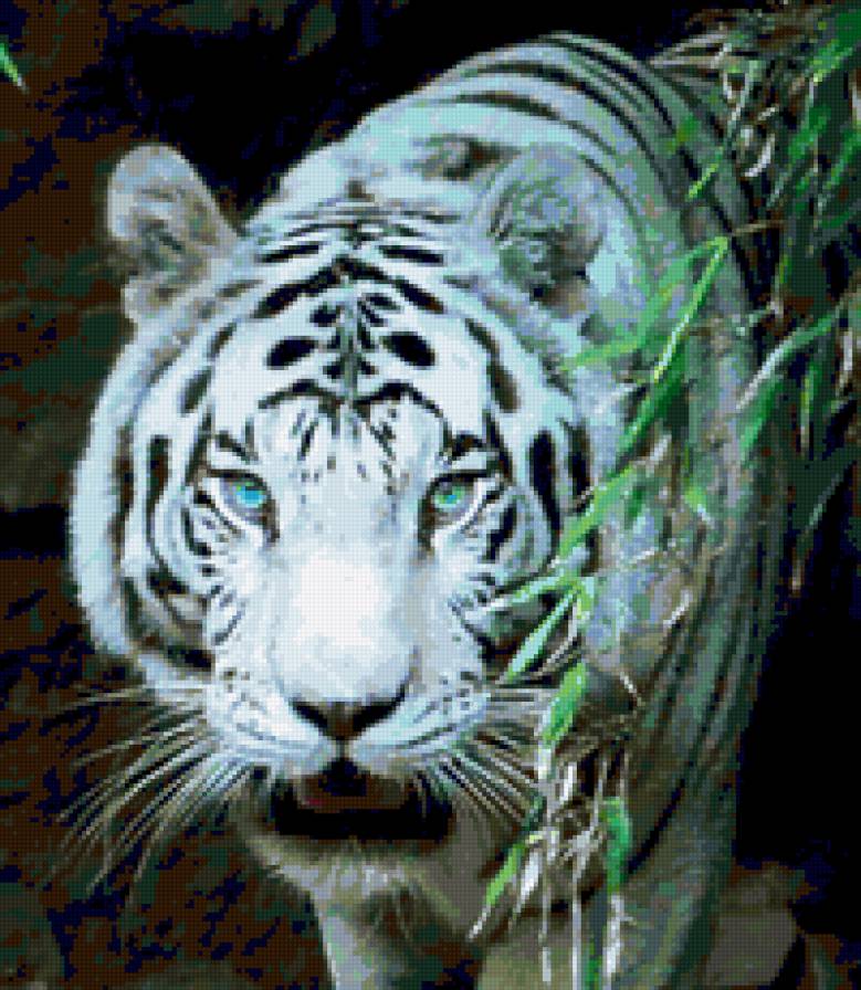 Тигр - предпросмотр