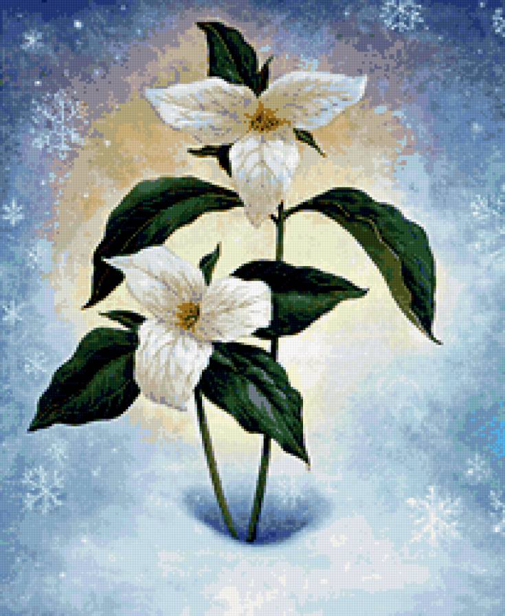 Я из снега к тебе лепестки протяну через много веков... - красота, цветы - предпросмотр