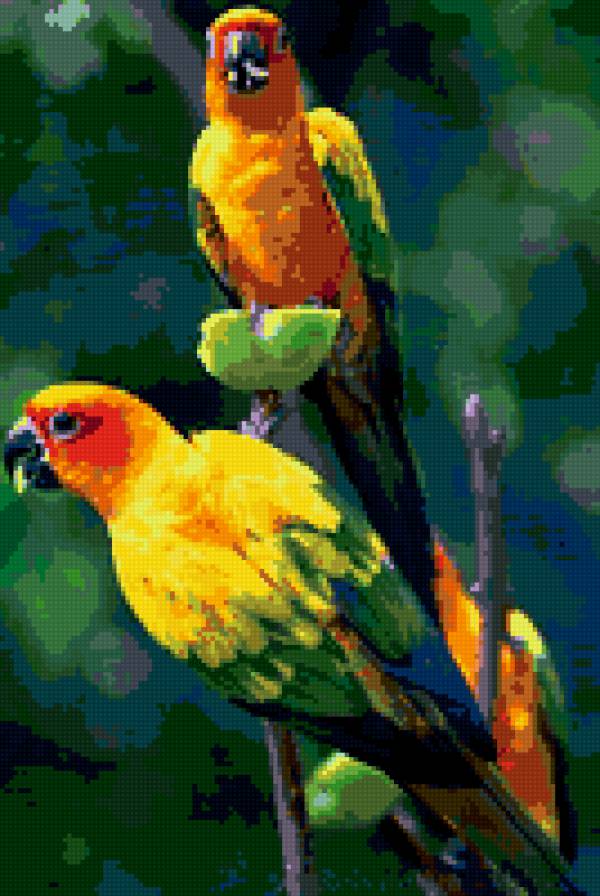 попугаи - птицы - предпросмотр