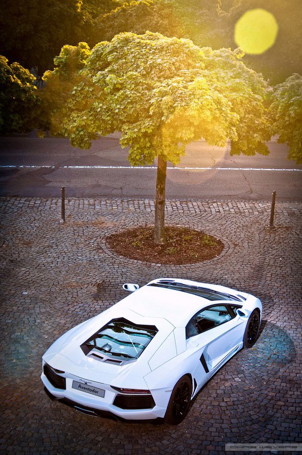 №336801 - оригинал