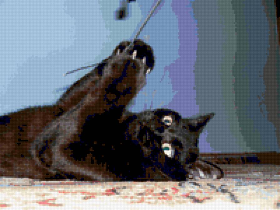 №336847 - предпросмотр