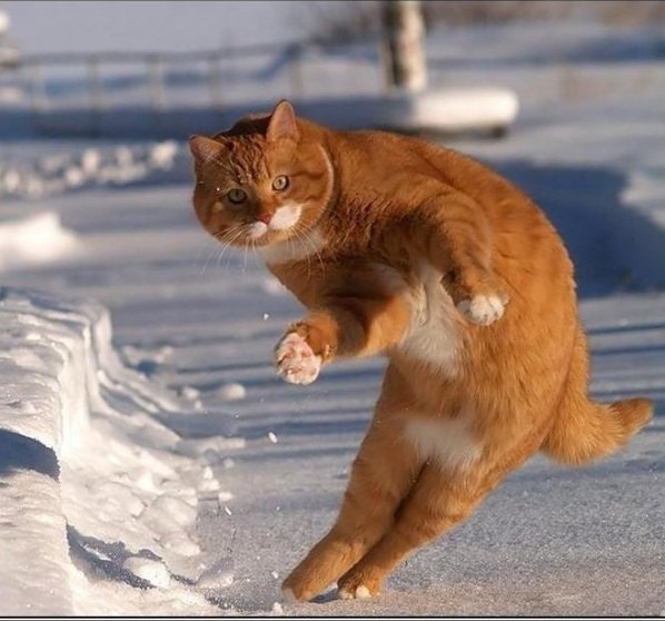 потанцуем... - оригинал