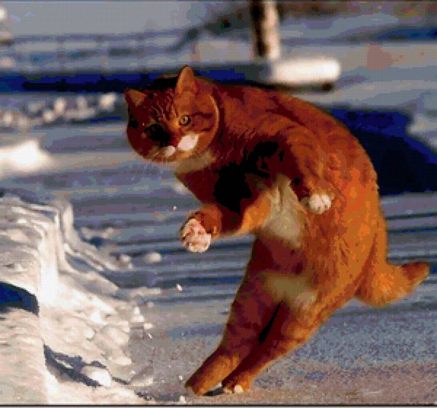 потанцуем... - предпросмотр