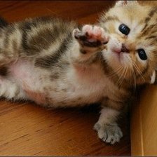 Схема вышивки «бегите... я их задержу»