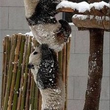 Схема вышивки «взаимовыручка»