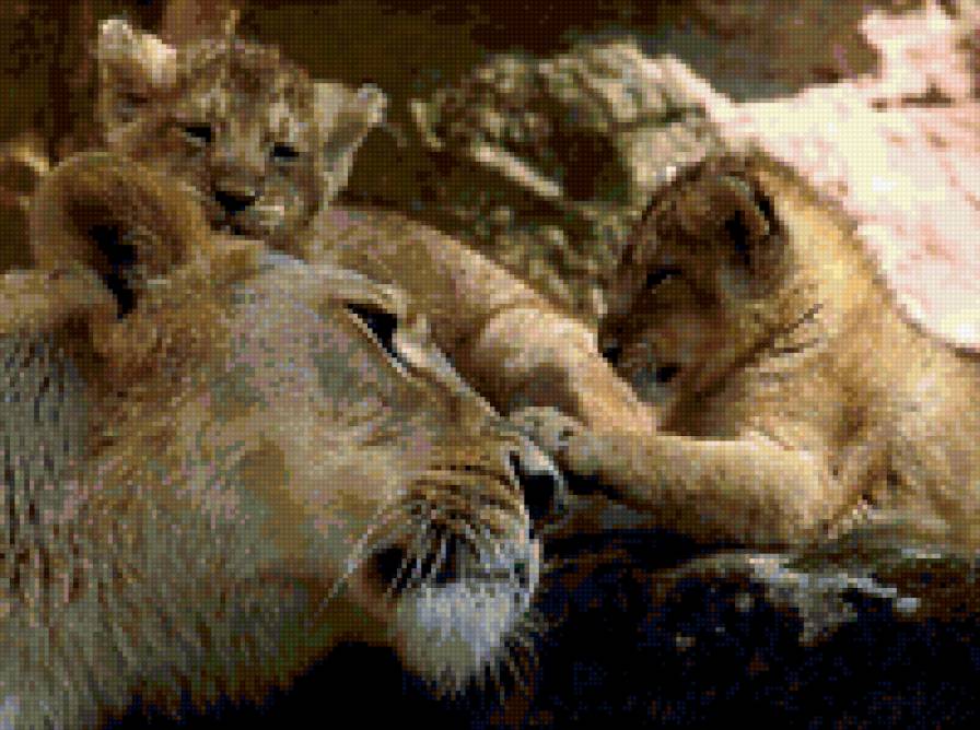 Львица с львятами - предпросмотр