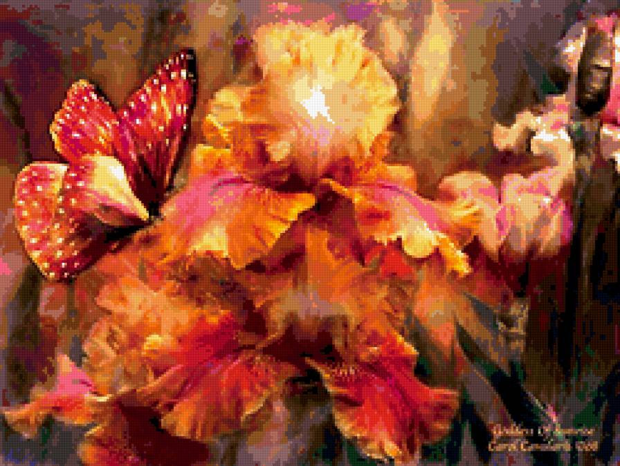 ирисы - бабочка, ирисы, цветы - предпросмотр