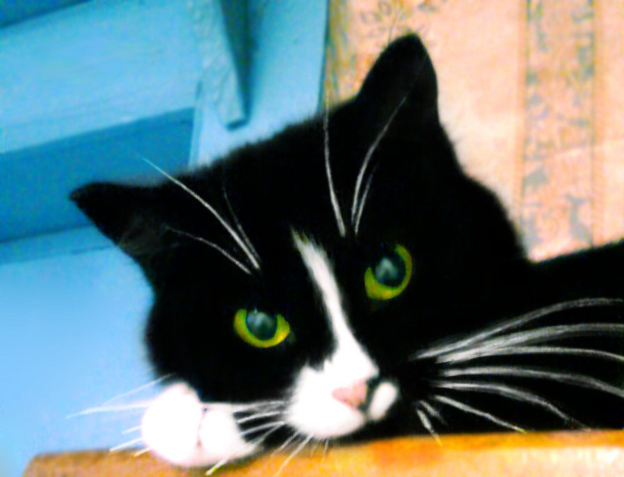 асюта 2 - оригинал