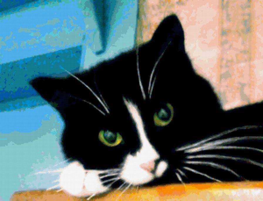 асюта 2 - предпросмотр