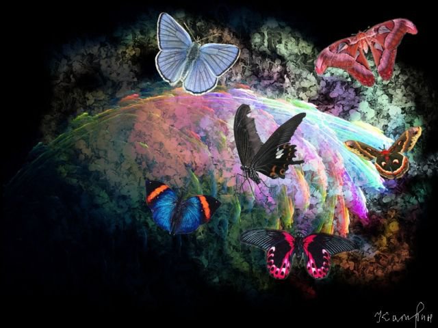 бабочки 2 - бабочки, планета - оригинал