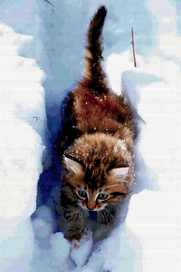 потропинке в снегу - предпросмотр