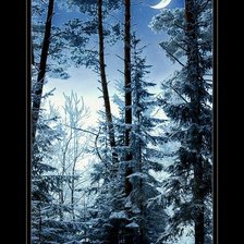 Схема вышивки «зима»