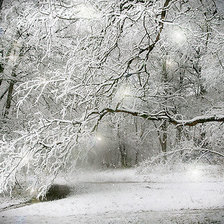 Схема вышивки «зима»