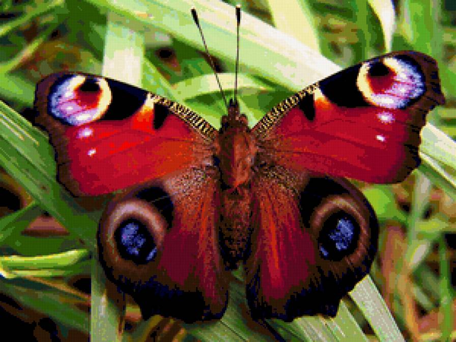 пейзаж - предпросмотр