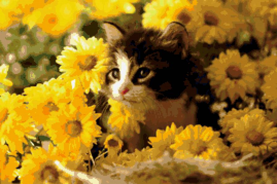 коник - предпросмотр