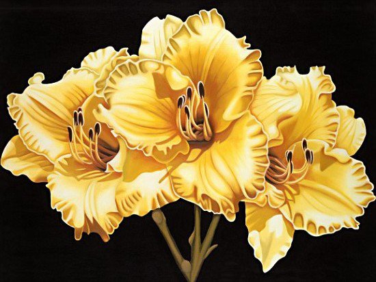 №337372 - оригинал