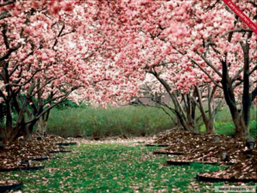 №337418 - лес, пейзаж, природа - предпросмотр