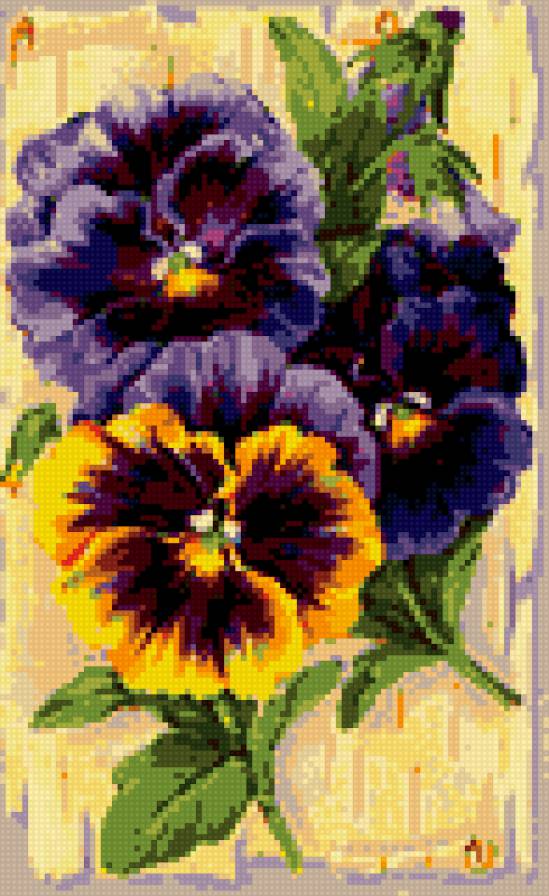 Анютины глазки - предпросмотр