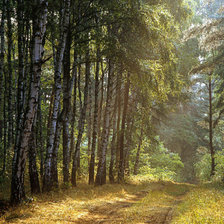 Схема вышивки «№337438»
