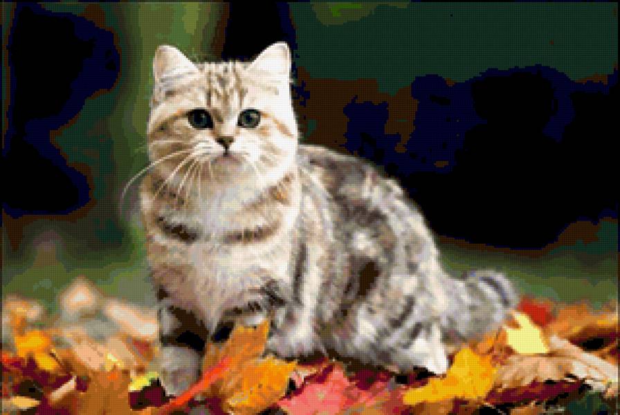 животные - предпросмотр