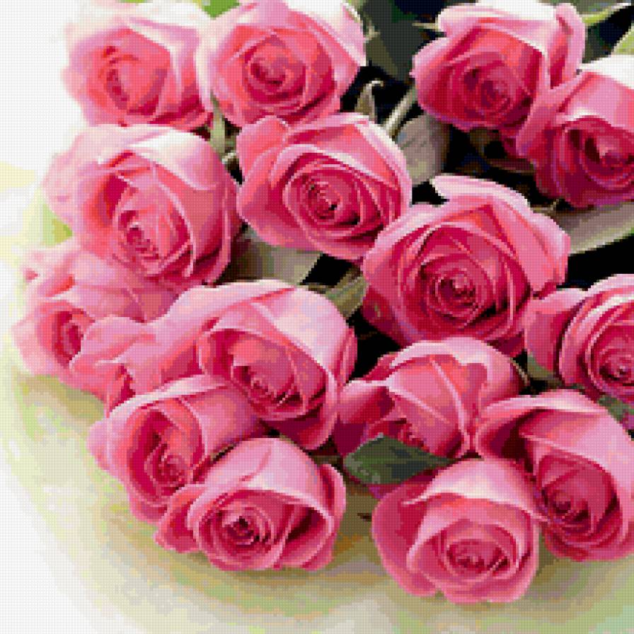 розы 220 - предпросмотр