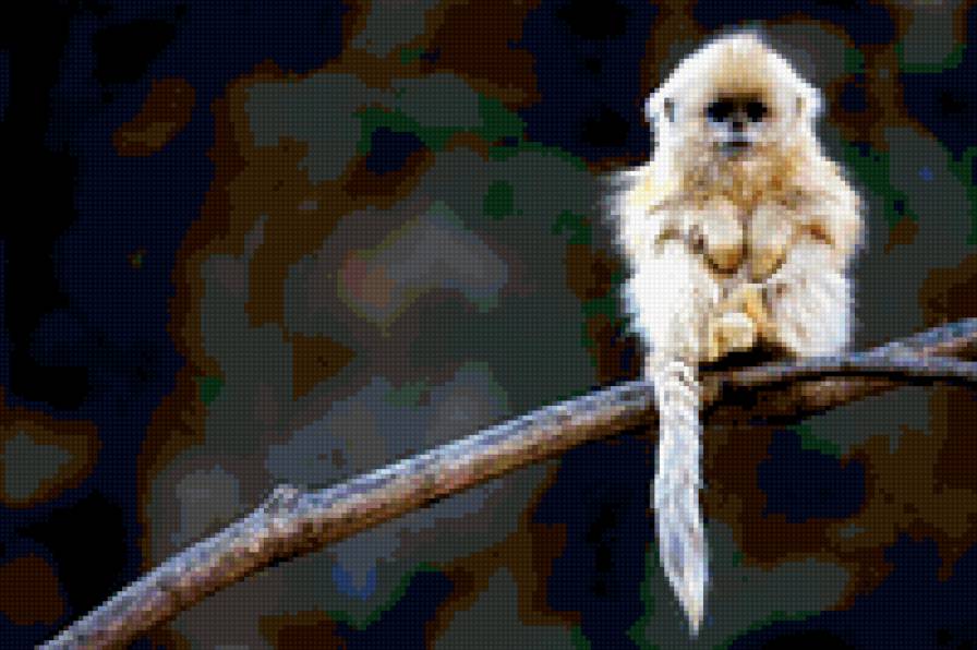 малыш - малыш - предпросмотр