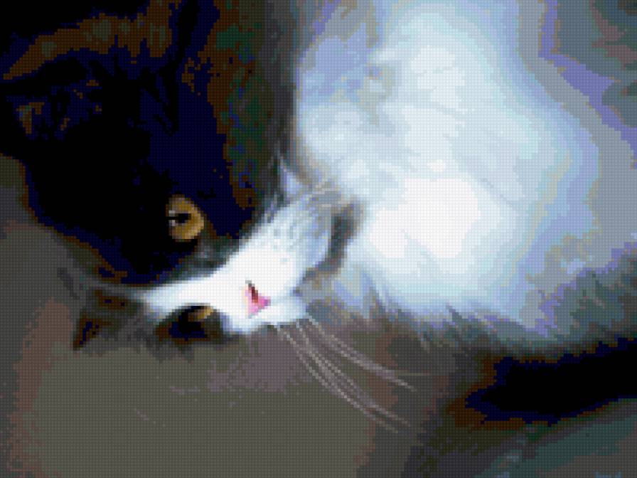 №337516 - предпросмотр