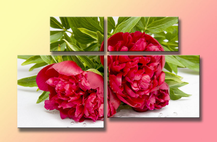 пионы - полиптих, цветы, пионы - оригинал