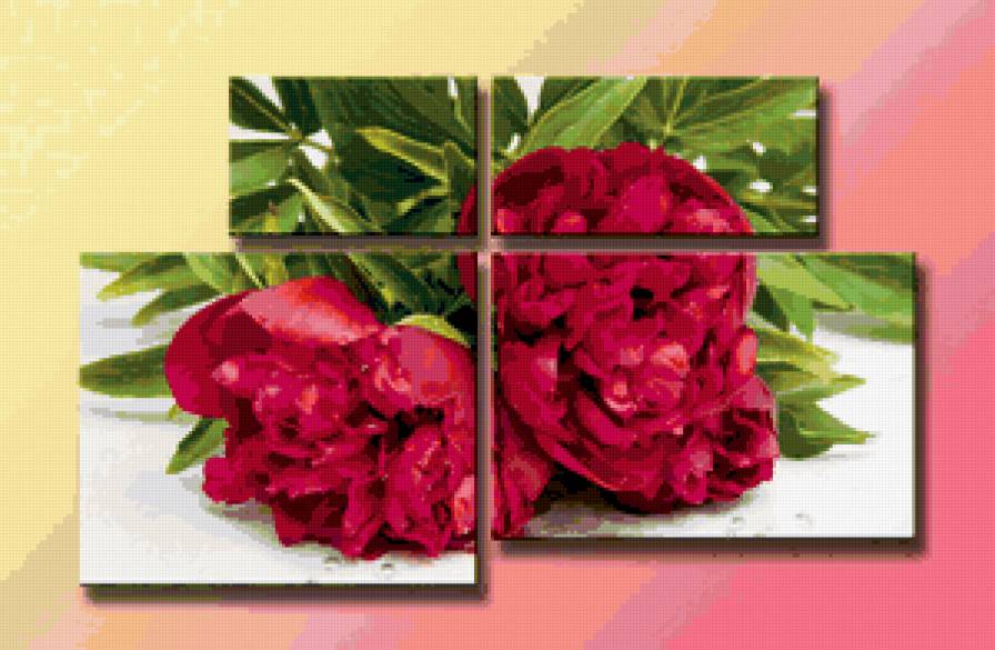 пионы - пионы, полиптих, цветы - предпросмотр